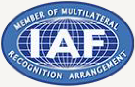 iaf logo